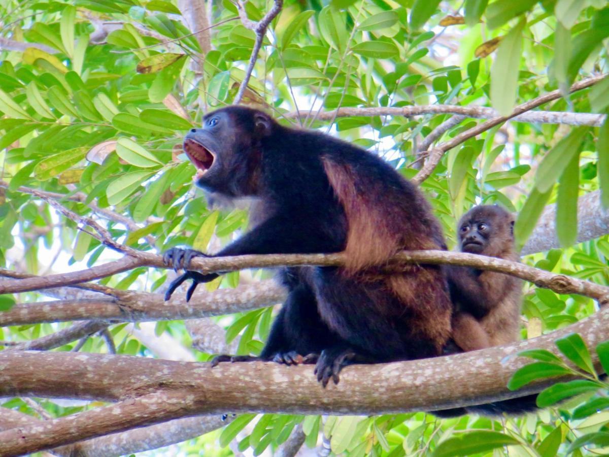 Villa Ometepe Merida Екстер'єр фото